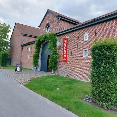 B&B Bloonwinning Hasselt Eksteriør bilde